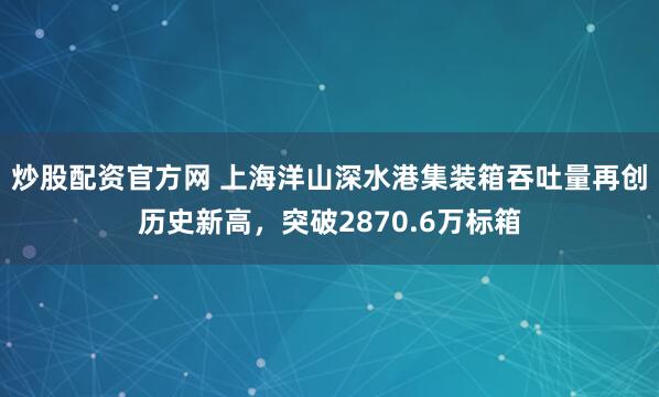 炒股配资官方网 上海洋山深水港集装箱吞吐量再创历史新高，突破2870.6万标箱