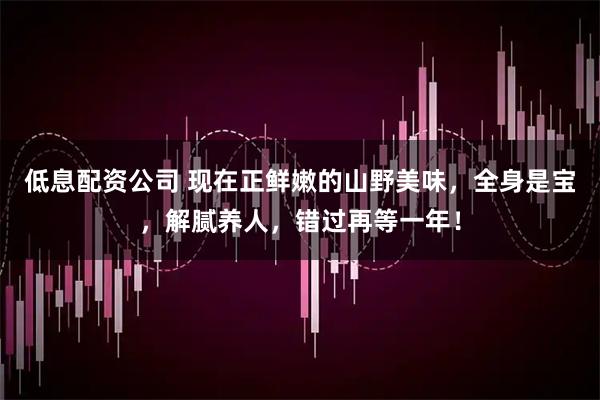 低息配资公司 现在正鲜嫩的山野美味，全身是宝，解腻养人，错过再等一年！